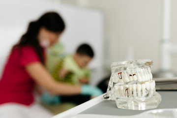 Dentist showing jaw model, giving lesson on proper teeth and oral cavity care. Dentist using jaw...