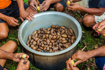 Boiled Potatoes