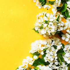 Fototapeta premium Apple flowers flat lay, summer and spring time creative pastel concept