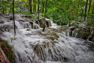 Inondation en forêt