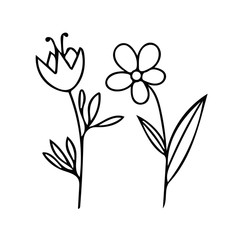 flowers on a stem with leaves hand drawn in doodle style. set of elements scandinavian monochrome minimalism simple vector. plant, summer. design card, sticker, poster icon