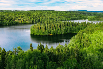 Fototapeta na wymiar Aerial top view of blue lakes with islands and green forests in Finland.