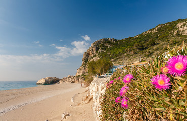 Fototapety na wymiar - Fototapeta24.pl