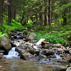 Landscape with mountains, forest and a river .