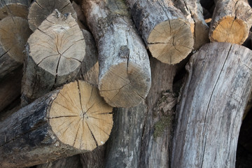 Naklejka premium Pile of logs close-up in the countryside. Harvesting firewood for the winter for the bath. Dry round logs with cracks