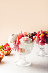 Vanilla Ice Cream
