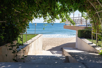 Access to the sea through a shady green arch. Beautiful view.