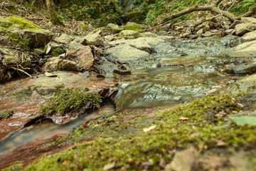 The stream runs down the forest surrounded by moss, ferns and green forest.