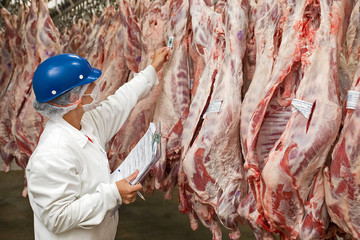 Brazil's largest processed meat exporters