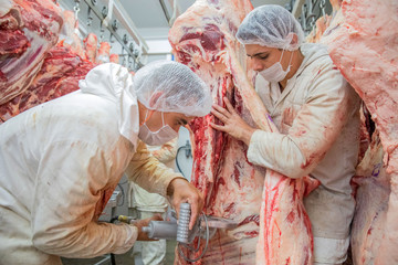 Obraz premium Brazil's largest processed meat exporters