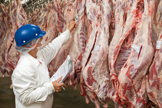Brazil's largest processed meat exporters