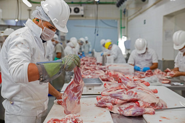 Brazil's largest processed meat exporters