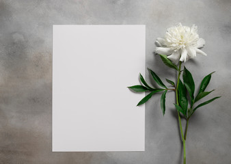 Minimalistic card mockup with white peony. Blank frame for text. Gray background. flat lay