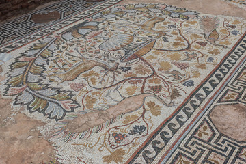 Heraclea Lyncestis Archeological Park, Bitola, Republic of Macedonia