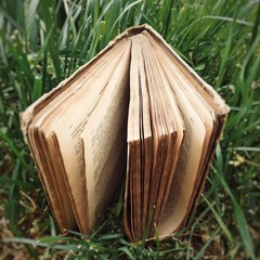 open old book © polecam