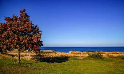 Wybrzeże bałtyckiej wyspy Bornholm © slawjanek