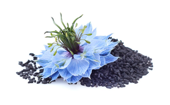 Black cumin seeds with nigella sativa flower on white background