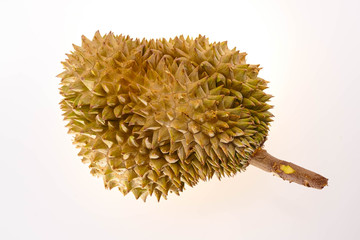The fruit is regarded as the king of fruits with a sweet taste and intense smell in a spiny bark. The name is called durian on a white background.
