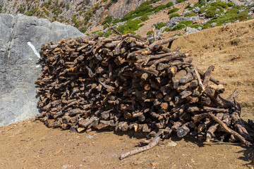 Pile dry firewood in the mountains. Heap of brushwood on ground. Preparation of kindling for bonfire in Morocco. Harvested branches for fire.