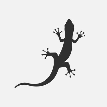 Black silhouette of lizard isolated on white background. Vector illustration.