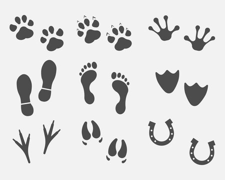 Black Different Animal and Bird Silhouettes Tracks Set isolated on white background. Vector illustration.