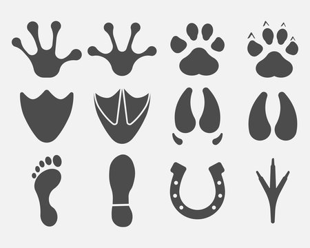Black Different Animal and Bird Silhouettes Tracks Set isolated on white background. Vector illustration.