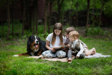 Children reading book together with big dog in summer glade, Three children with a Bernese Mountain Dog pet, friendship of a child and a dog, Dog therapy concept.