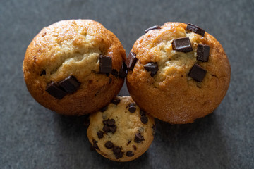 chocolate chip muffin