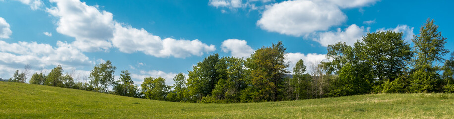 Fototapeta na wymiar majestatyczna panorama łąk i drzew