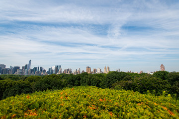 Fototapeta na wymiar Panorama sur le toit du Metropolitan Museum of Art
