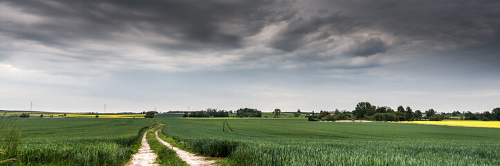Ścieżka pośrodku pola, nad nim deszczowe chmury