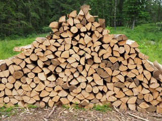 Geometrie - Holzscheite lagern in Dreiecksformation im Wald