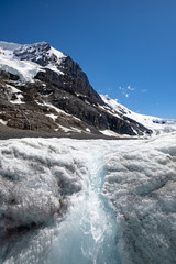 Athabasca Glacier Portrait with glacier water