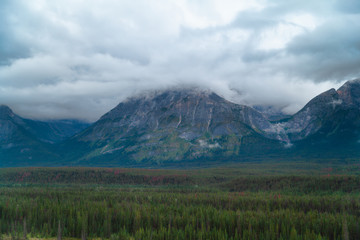 Obraz premium Mountains in the Hooker Icefield Range Canadian Rockies, Alberta, Canada