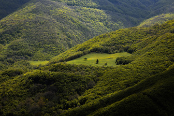 green grass in mountain and rocks