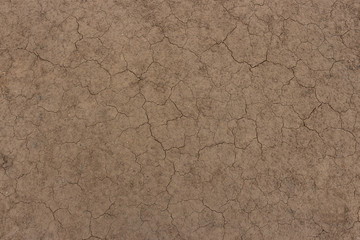 Earth texture. Land brown texture. Earth background.