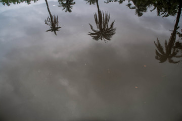 Clouds Sky Shadow in water