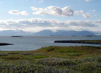 Küste bei Hoefn, Island