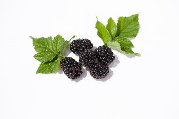 blackberry on a white