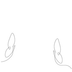 Butterfly summer background, vector illustration