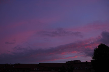sunset with pink and purple flowers in the sky with clouds on the background of a tree and houses
