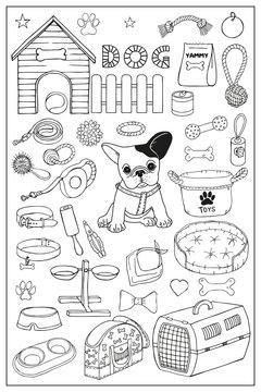 French Bulldog And Dog Items Set. Hand Draw Doodle Vector Graphics.