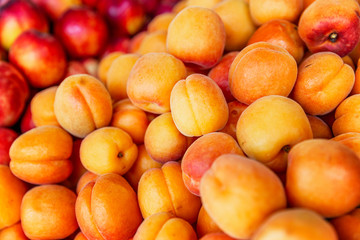 Ripe apricots in the market. A lot of juicy beautiful berries. Close-up. Vitamins and a healthy diet.