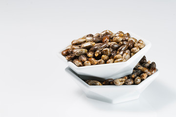castor oil seeds isolated on white background