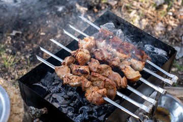 kebabs on skewers on the grill iron