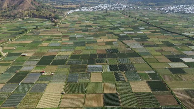Agriculture Farming Land & Field in Lambok, Indonesia - Aerial Drone Tilt-Up