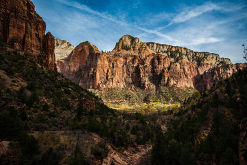Colorful landscape from zion national park utah
