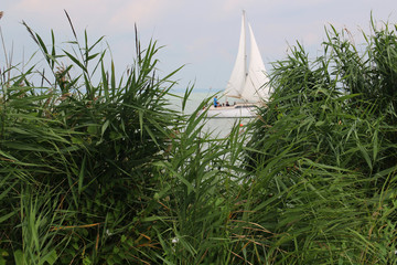 Sailing in the water - Hungary, Balaton