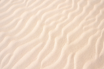 Fototapeta na wymiar Golden sand in the dune, background of sand in the desert