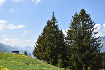 Naturlandschaft in Flumserberg in der Schweiz 17.5.2020
